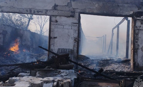 У Волноваському районі згоріло 28 тонн українського зерна. Фото