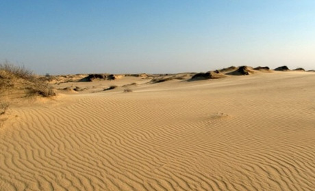 Олешківські піски опинилися в руках російського бізнесмена