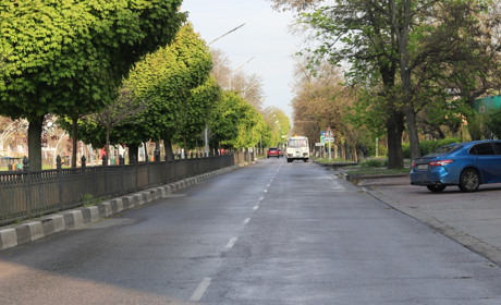 Васнецова на Пантелеймона Куліша, Бєлгородську на Олени Теліги: пропозиції нових назв вулиць