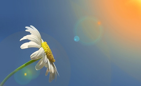 Погода на Кагарличчині та Ржищівщині на вихідні 27 і 28 травня