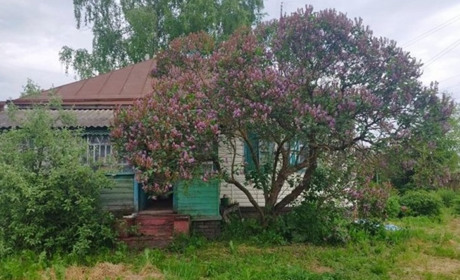 На Гадяччині через ураження струмом загинули дві жінки