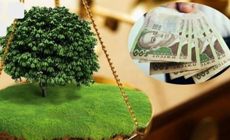 На Смілянщині орендар землі не доплатив до бюджету понад 200 тисяч гривень