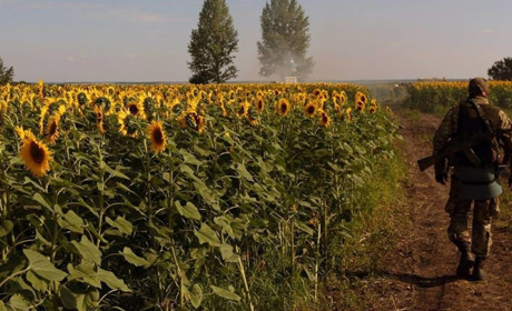 Щоденник війни. Тиждень п'ятдесят дев'ятий. Я не вмію прощати і любити ворогів своїх