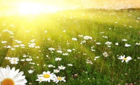 Погода в Кагарлику та Ржищеві на тиждень - з 29 травня по 4 червня