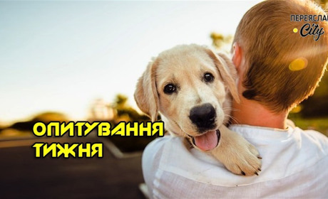 Опитування тижня: які тварини у вас живуть? Розповідають жителі Переяславщини