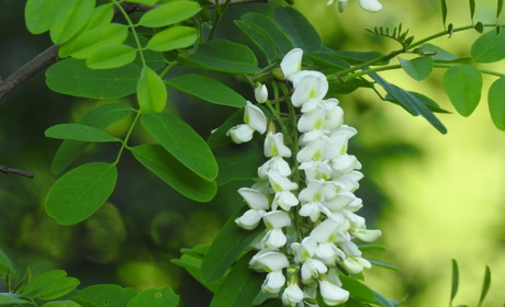 Погода на 29 травня - 4 червня: тиждень буде теплим та сухим