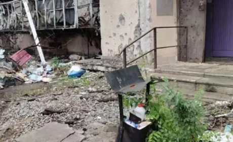 Ситуація в Сєвєродонецьку. В окупованому місті навала гризунів та комах
