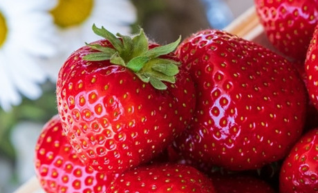 Полуничний настрій: смачні рецепти для насолоди