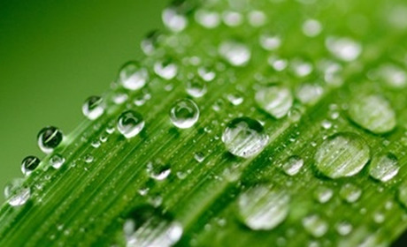 4 червня 2023 - День Пресвятої Трійці або Зелена неділя: традиції, прикмети, заборони та молитви