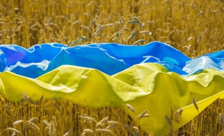 Щоденник війни. Тиждень шістдесятий. ЗСУ точно будуть у Криму