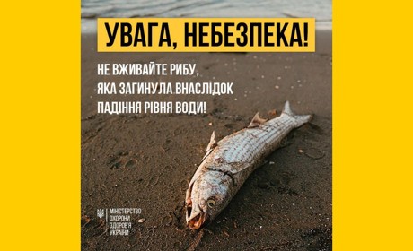 Чому не можна їсти рибу, яка загинула через наслідки підриву Каховської ГЕС: МОЗ