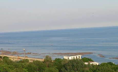 Нечистоти та сміття фіксують в акваторії чорного моря, зокрема на южненському узбережжі(ФОТО, ВІДЕО)