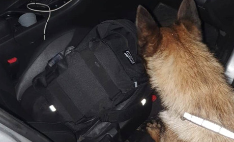 Пес із Закарпаття виявив у росіянина наркотики: що відомо