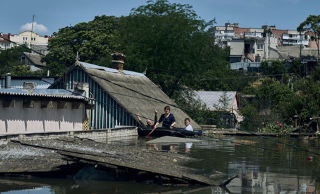 Лісгоспи Сарненщини можуть прийняти евакуйованих з Херсонщини: куди звертатися