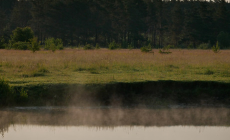 Дослідили водойми: де в Сарненському районі купатися безпечно