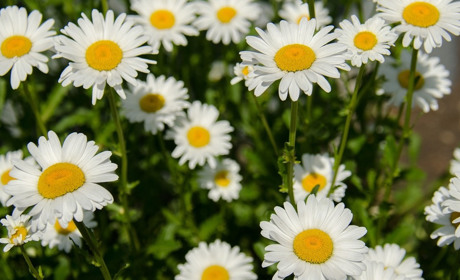 Погода у Старокостянтинові на 12-18 червня: коли потепліє