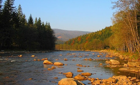На пляжах Лімниці провели дослідження води. Чи можна там купитися калушанам