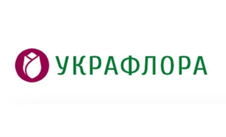Купити кімнатні квіти – чудова ідея, якщо треба швидко оновити інтер’єр