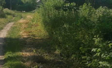 На Шосткинщині під час ворожого обстрілу поранено трьох дітей