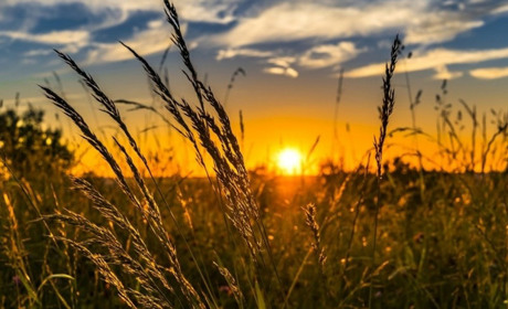 Синоптики прогнозують погоду, а рятувальники попереджають про небезпеку