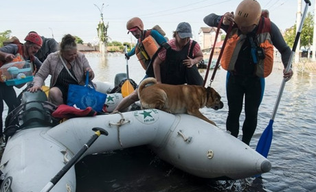Коли почнуться виплати постраждалим від теракту на Каховській ГЕС