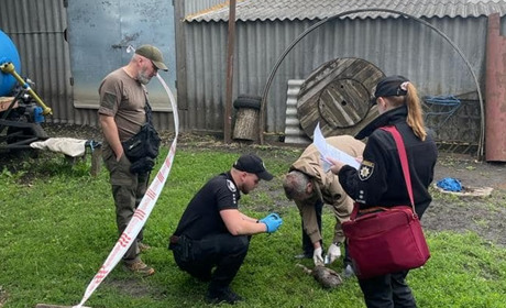 На Сумщині породілля покинула новонароджених двійнят і їх розшматували собаки