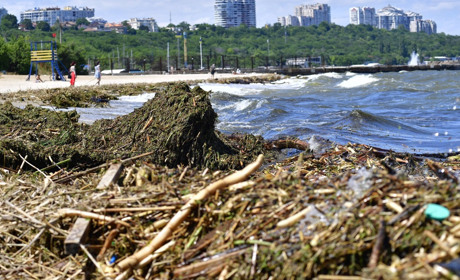 Вода в водоймах Одещині несе загрозу життю: що там знайшли. Не нехтуйте загрозою