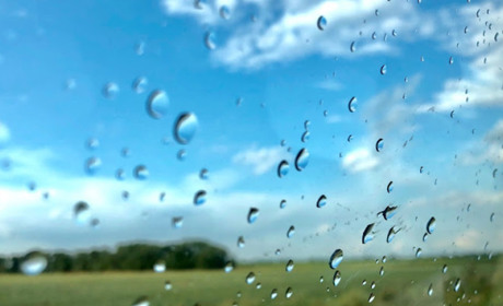 Погода на Кагарличчині та Ржищівщині на вихідні 24 і 25 червня