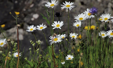 Погода у Старокостянтинові на 27 червня - 2 липня: чи повернеться спека