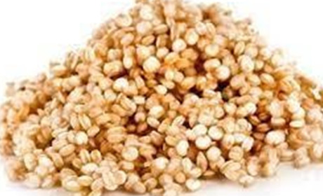 Замінники м'яса: ТОП 7 продуктів з високим вмістом білка