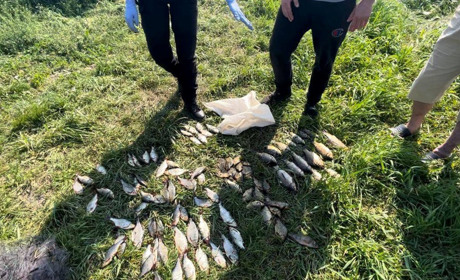 Поліція затримала на Красноградщині чоловіка, який незаконно наловив риби на 127 000 гривень