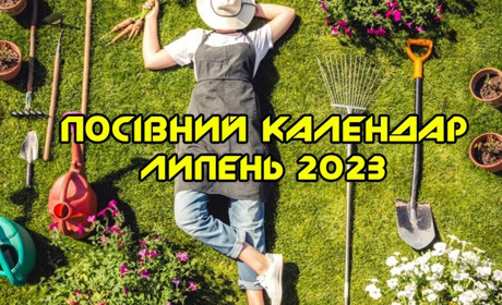 Посівний місячний календар/ народні прикмети на липень 2023 року для садівників і городників ТАБЛИЦЯ