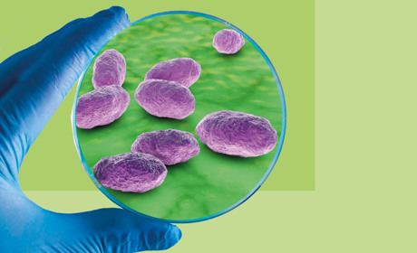 COVID-19 завершився, однак у Гадячі фіксують ріст на гепатит, ВІЛ та хворобу Лайма