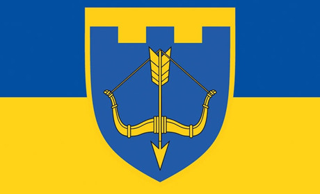 Відео: робота мінометників 118-ї бригади сил територіальної оборони