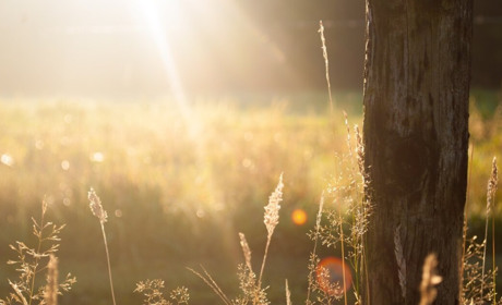 Погода на Кагарличчині та Ржищівщині на вихідні 1 і 2 липня