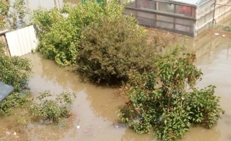 Неможливо дихати від смороду застояної води: центральна частина Голої Пристані все ще підтоплена