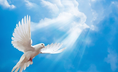 Різдво Іоанна Предтечі: традиції та заборони великого свята