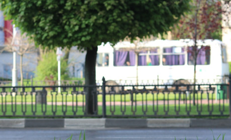 За безплатне перевезення школярів та пільговиків місцевим перевізникам відшкодували витрати