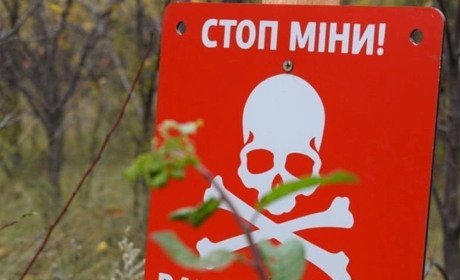 Що потрібно знати при відвідуванні лісу