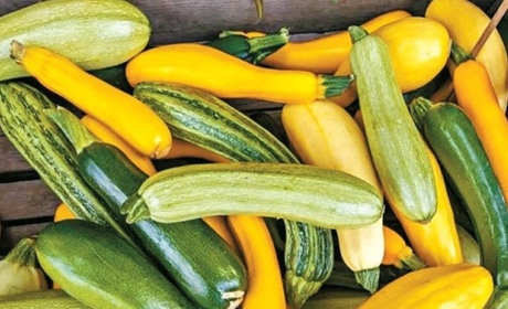 Домашні заготовки з кабачків на зиму: рецепти консервації
