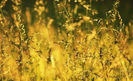 Погода у Старокостянтинові на 17-23 липня: стежимо за прогнозами