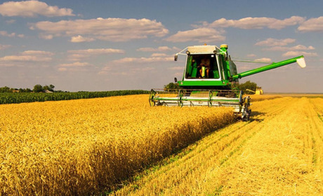 В Южненській громаді розпочалися жнива: які показники наразі