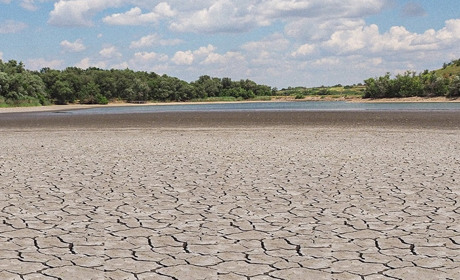 Мертве Каховське водосховище і перші паростки життя на його сухому дні. Фото