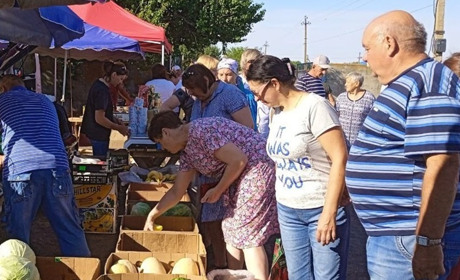 Нижні Сірогози: огляд цін і продукції на ринку “Хортиця”