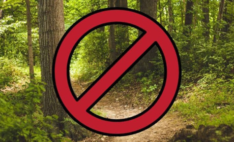 На Донеччині заборонили відвідування лісів. У чому причина