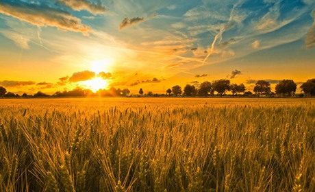 Погода на Кагарличчині та Ржищівщині на вихідні 29 і 30 липня