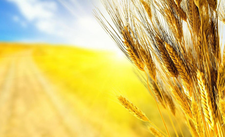 Календар вихідних і свят серпня 2023. Що будемо відзначати наступного місяця