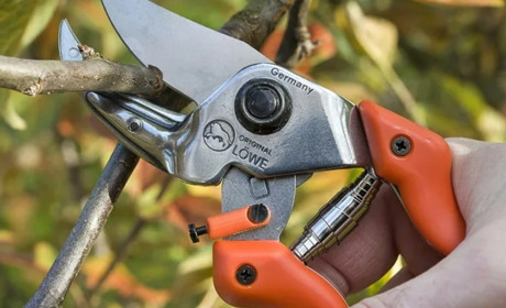 Садовый секатор: назначение и польза