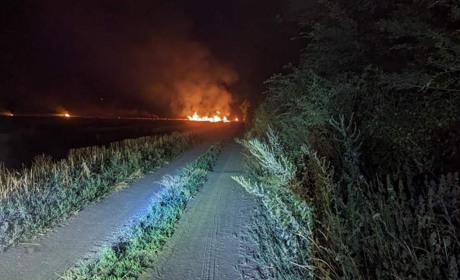 За тиждень на Первомайщині вигоріло 26,5 тисяч квадратних метрів відкритих територій