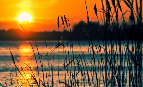 Мангітні бурі у серпні 2023: коли очікувати